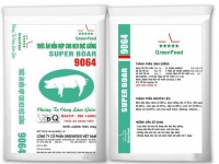Thức ăn cho heo đực giống - Greenfeed Việt Nam - Công Ty Cổ Phần Greenfeed Việt Nam